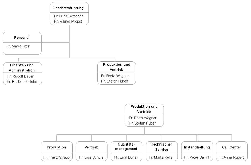 Organigramm Salesfocus